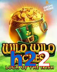 h22
